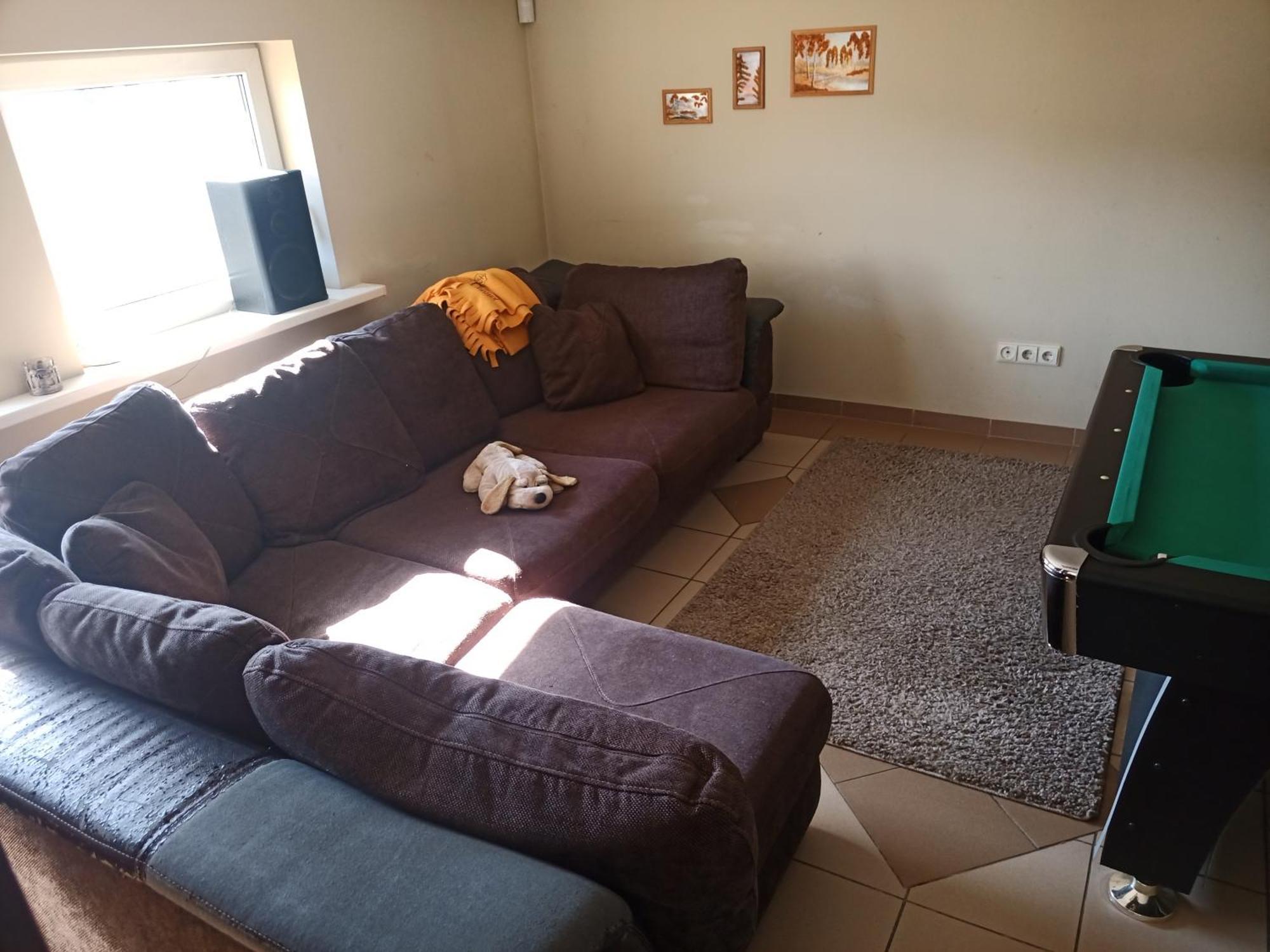 Vilnius Cat Friendly Lägenhet Exteriör bild